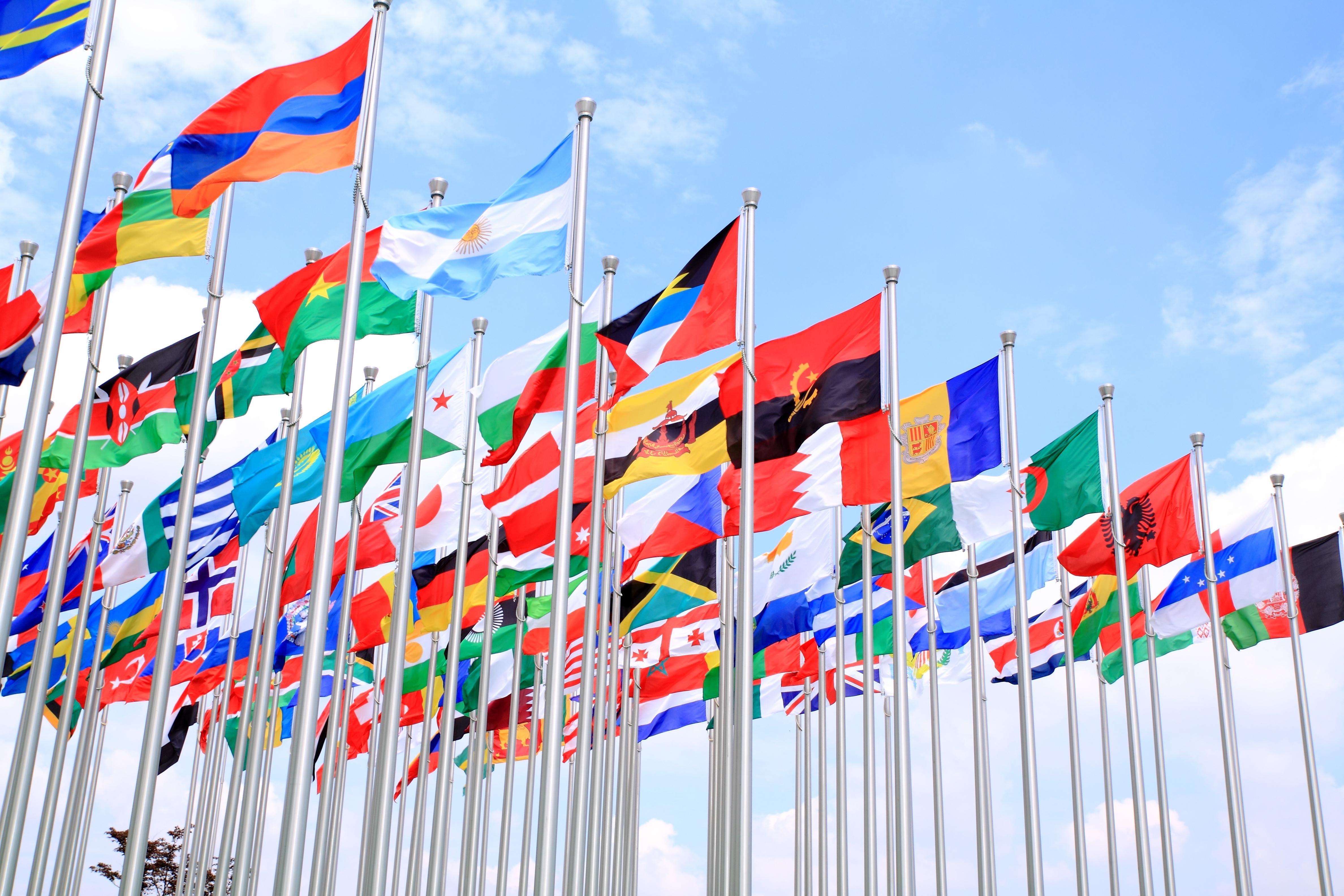 United Nations ODU Flags