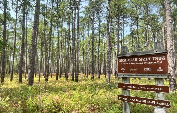 A sign marking the Blackwater Ecological Preserve stands in front of a forest full of trees. 